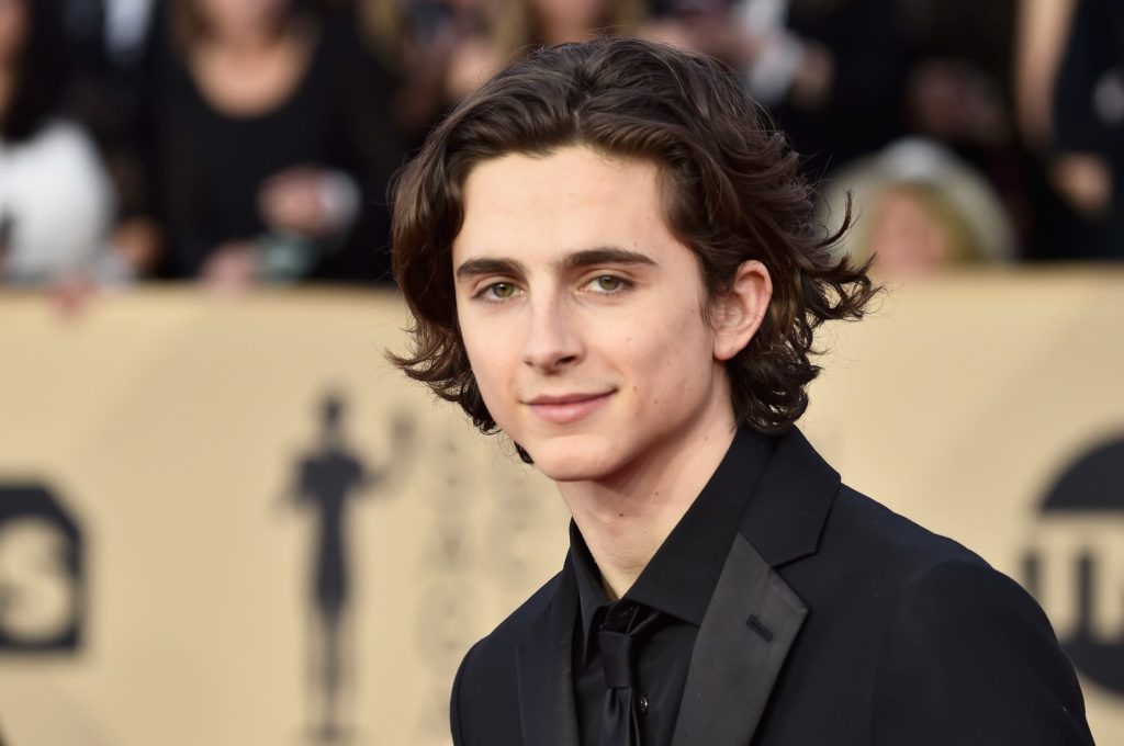 Timothée Chalamet: A Man Written By A Woman