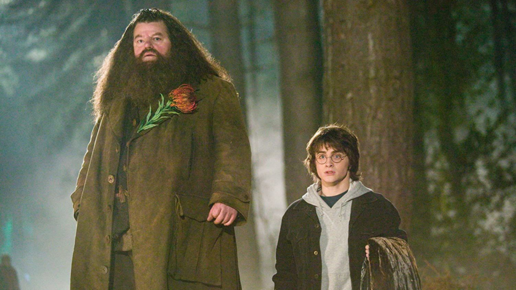Hagrid’s 6 Best Quotes In ‘Harry Potter’
