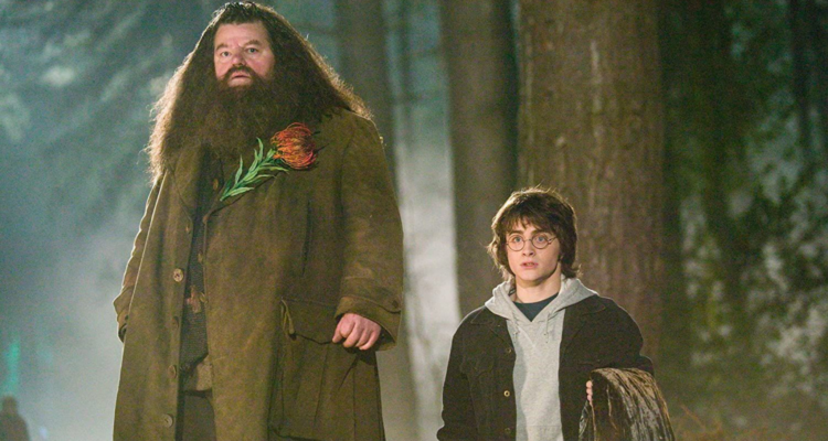 Hagrid’s 6 Best Quotes In ‘Harry Potter’